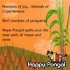 Bright&Colorful Pongal